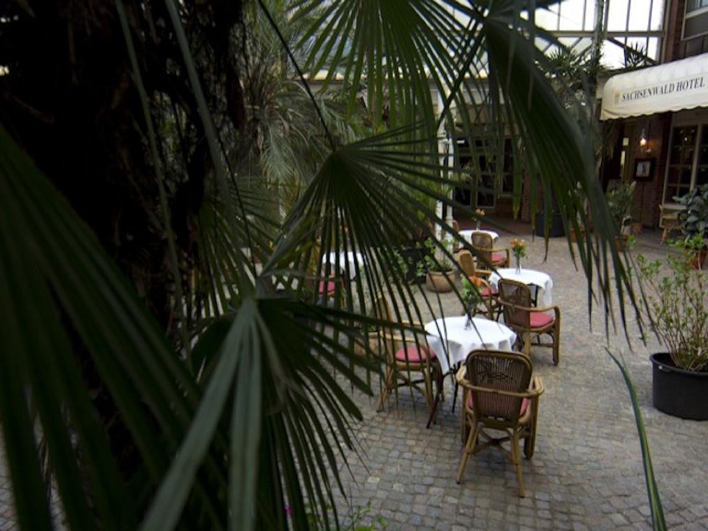 Sachsenwald Hotel ไรน์เบ็ค ภายนอก รูปภาพ